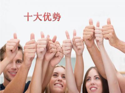 十大優勢